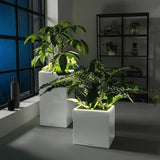 Plant pot Lechuza 40 x 40 x 40 cm White (1 Unit)-1
