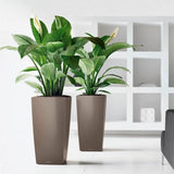 Plant pot Lechuza 50 x 50 x 95 cm Rectangular-2