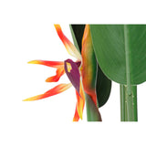 Decorative Plant DKD Home Decor 75 x 75 x 180 cm Orange Green Yellow polypropylene Bird of paradise-3