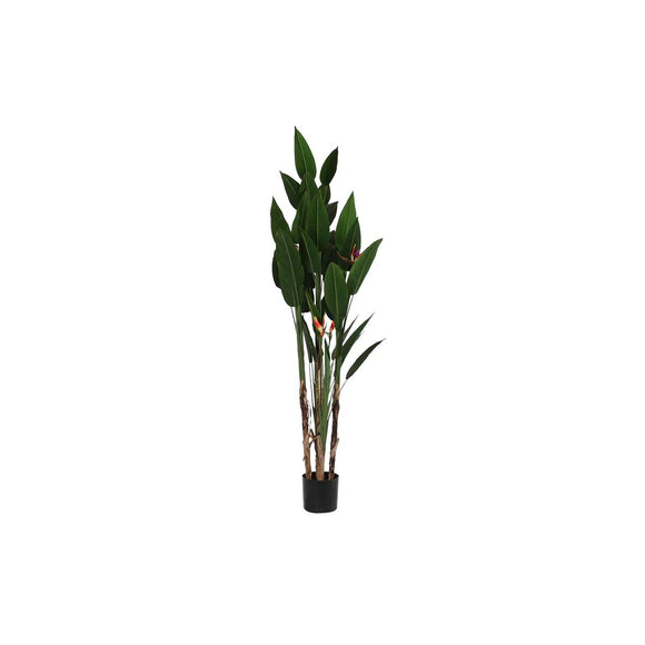 Decorative Plant DKD Home Decor (90 x 90 x 200 cm)-0