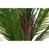 Decorative Plant Home ESPRIT Polyethylene Cement Palm tree 100 x 100 x 235 cm-3