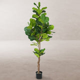 Decorative Plant Polyurethane Cement Fig Tree 200 cm-1