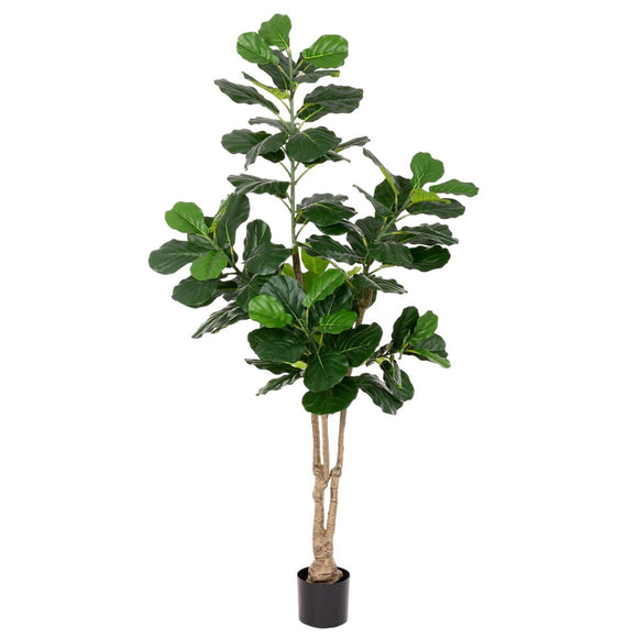 Decorative Plant Polyurethane Cement Fig Tree 175 cm-0