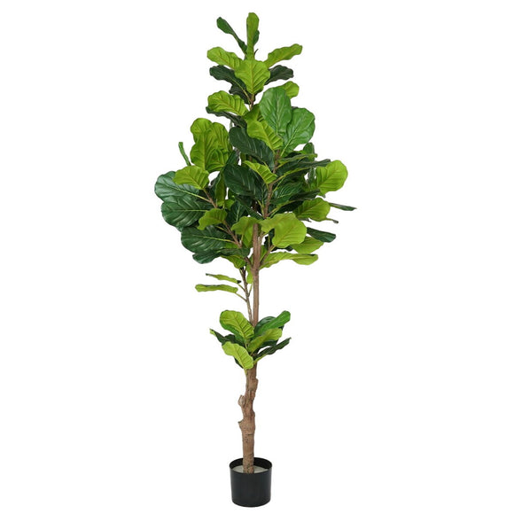 Decorative Plant Polyurethane Cement Fig Tree 200 cm-0