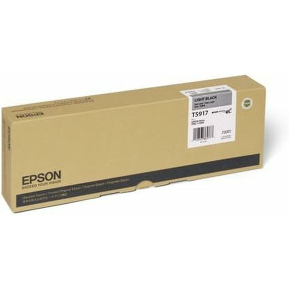 Original Ink Cartridge Epson C13T591700 Grey-0