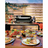 Grill Weber Black 43 x 22 cm-1