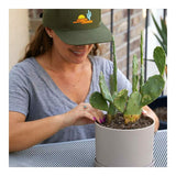 Stickers Cricut 2009241-9