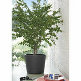 Plant pot Deroma Millennium Anthracite Plastic 59 x 59 x 49,5 cm-4