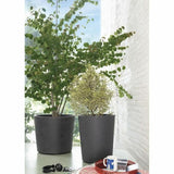 Plant pot Deroma Millennium Anthracite Plastic 59 x 59 x 49,5 cm-3