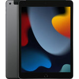 Tablet Apple iPad 2021 Grey 10,2"-0