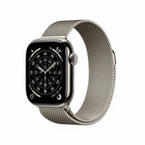 Smartwatch Apple Titanium-11