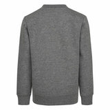 Children’s Sweatshirt without Hood Nike Grey-2
