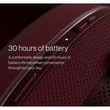 Headphones Bowers & Wilkins FP44547 Grey-6