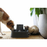 Pet Water Fountain PetSafe 7,5 L-1