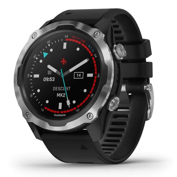 Garmin Descent Mk2 Stainless Steel with Black Band-0