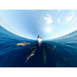 Digital Camera GoPro CHDHZ-203-RW Black-5