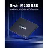 Hard Drive Biwin M100 1 TB SSD-7