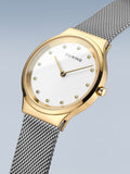 BERING Mod. 12131-010-2