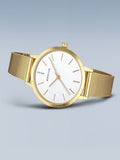 BERING Mod. 13434-334-GWP-6