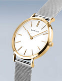 BERING Mod. 14134-010-1