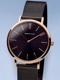 BERING Mod. 14134-166-1