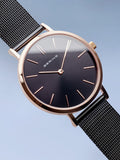 BERING Mod. 14134-166-2