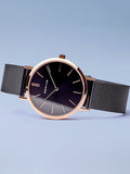 BERING Mod. 14134-166-3