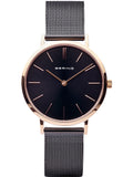 BERING Mod. 14134-166-0