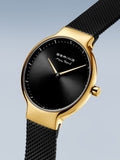 BERING Mod. 15531-132-4