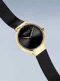 BERING Mod. 15531-132-5