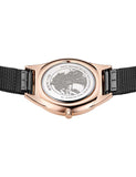 BERING Mod. 17031-162-5