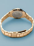BERING Mod. 17231-734-5