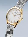 BERING Mod. 17331-010-4