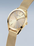 BERING Mod. 17331-333-4