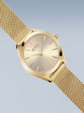 BERING Mod. 17331-333-5