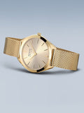 BERING Mod. 17331-333-6