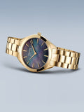 BERING Mod. 17331-732-6