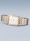 BERING Mod. 17423-714-6