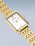 BERING Mod. 17423-734-5