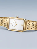 BERING Mod. 17423-734-6
