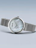 BERING Mod. 18132-004-3