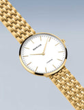BERING Mod. 19334-334-2