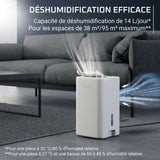 Dehumidifier Rowenta DH5250F0 300 W 3 L-7