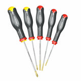 Screwdriver Set Facom Polypropylene-5