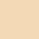 Primer Paint Ripolin Beige Matt 10 L-5
