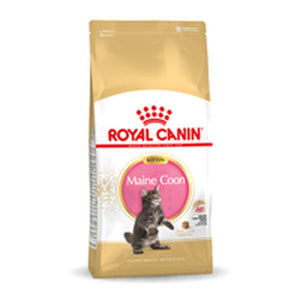 Cat food Royal Canin Maine Coon Kitten 10 kg-0