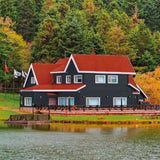 Primer Paint Bondex Grey Satin finish 5 L-3