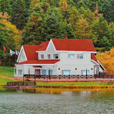 Primer Paint Bondex Grey Satin finish 5 L-3