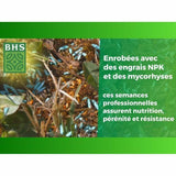 Seeds BHS Gazon Anglais 10 kg-1