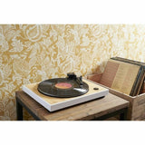 Record Player Thomson TT301-1